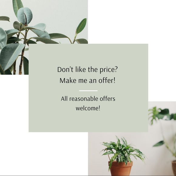 Meet your Posher, Jamie - Posh Ambassador! - Picture 2 of 2